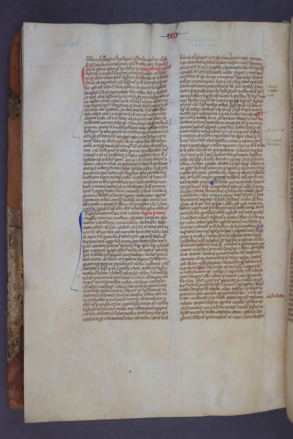 Folio 142 verso